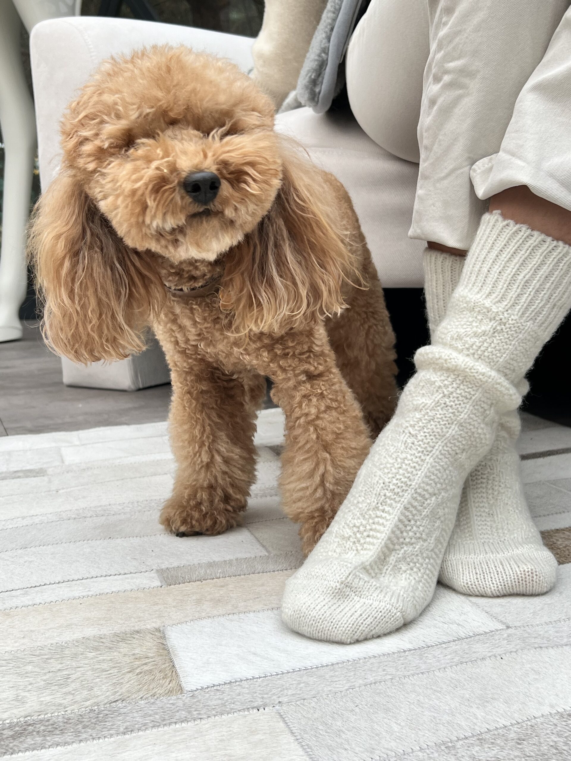 Common Mistakes to Avoid When Cleaning Wool