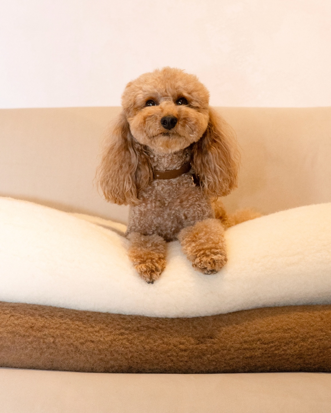 100% merino wool lightweight duvet–throw, WoolLando